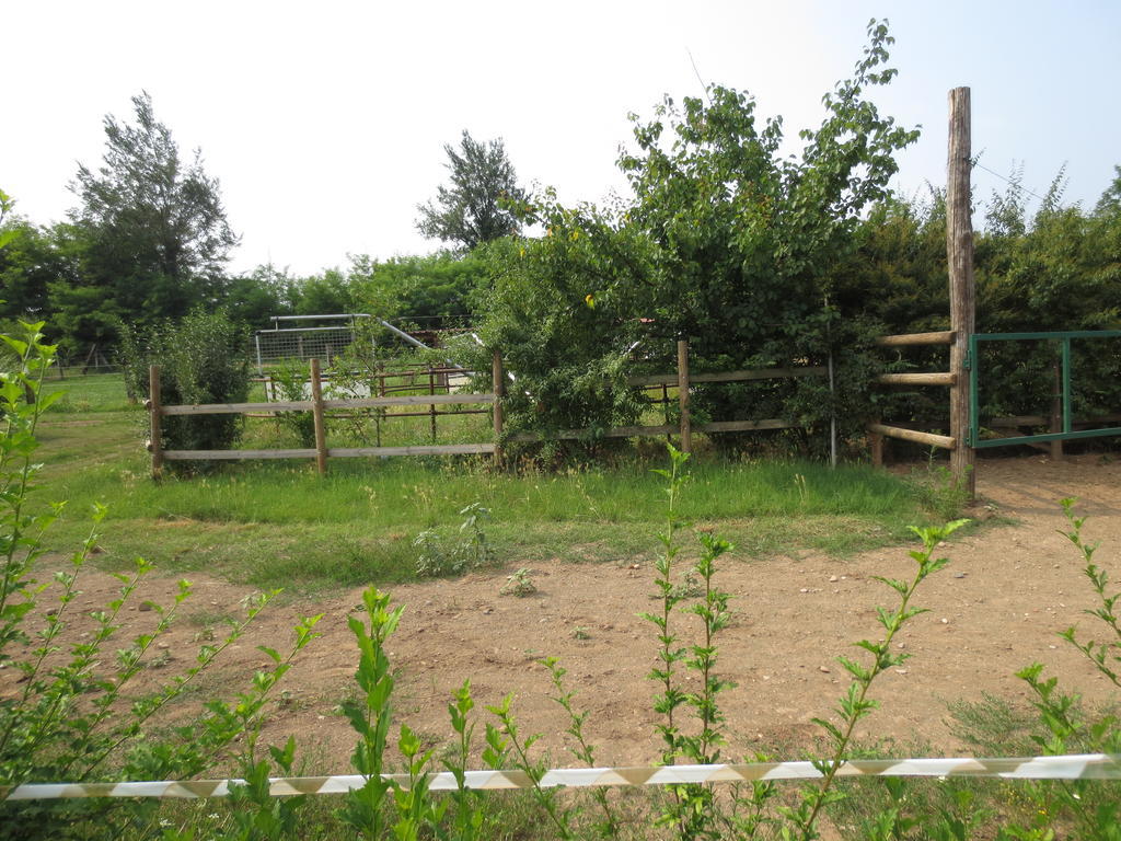 Agriturismo Parco Del Chiese Bedizzole Eksteriør billede